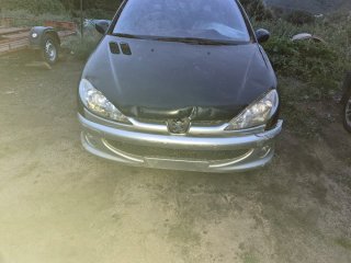 Capó Peugeot 206 HDI 90cv abollado