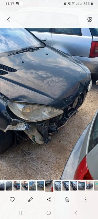 Capó Peugeot 206 HDI 90cv abollado