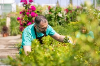Servicios de jardinería profesional