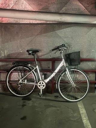 Bicicleta plateada con cesta y portabultos