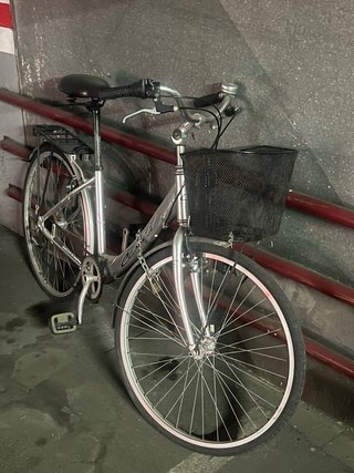 Bicicleta plateada con cesta y portabultos