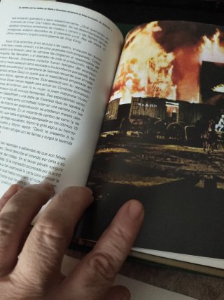 Lo que el viento se llevó DVD