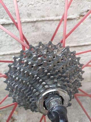 Ruote Fulcrum Racing Zero raggi rossi 11v