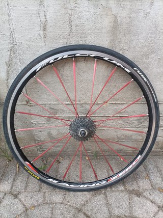 Ruote Fulcrum Racing Zero raggi rossi 11v