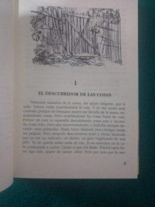 Mi Planta de Naranja-Lima