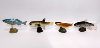 Kaiyodo Animatales Set 22 Miniature Animali marini