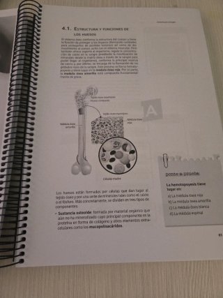 Libro impreso Anatomía por la imagen Ilerna