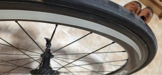 Ruedas Shimano Dura-Ace C50 Carbono tubulares