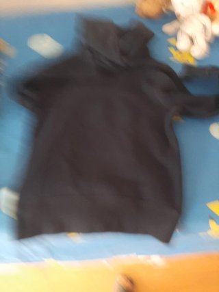 Sudadera Hollister 22 Negra y Verde