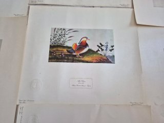 Litografía Arte Chino. Sello Patrimonio nacional