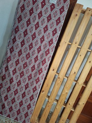Sofá Cama y Colchón