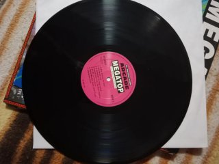 Vinili Skateboard 5, Megatron e Megatop