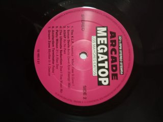 Vinili Skateboard 5, Megatron e Megatop