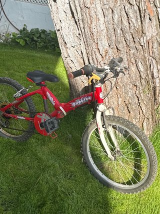 Bicicleta Roja Topbike