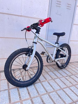 Bici Early Rider 16 Plata