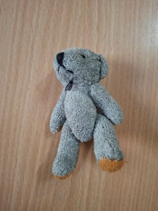 Coppia orsacchiotti peluche