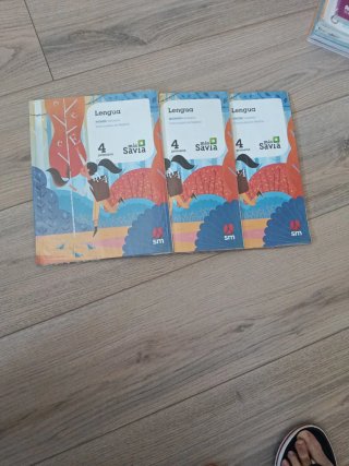 Lengua, 4 Primaria, Comunidad de Madrid Más Savia
