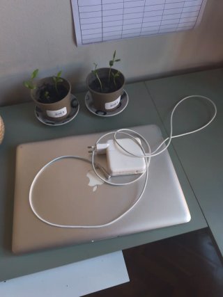 Ordenador Apple Gris Plata
