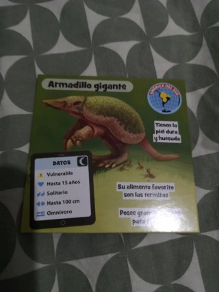 Brain Box Animales Juego de Mesa