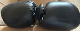 Guantes de boxeo Venum Challenger 3.0 – 14 oz