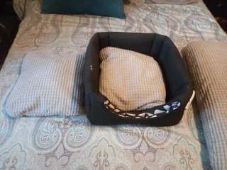 Cama para gatos