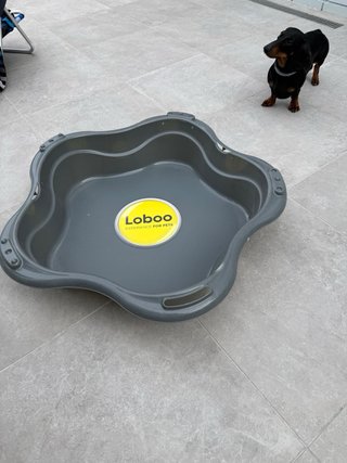 Piscina rígida para mascotas Loboo