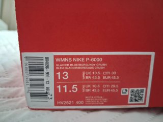 Nike P6000 Glaciar Blue