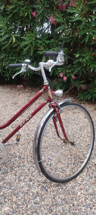 Bicicleta SENN con cesta y guardabarros