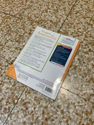 Catena di Libri di Scuola “Il Sogno di Artemisia”