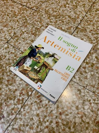 Catena di Libri di Scuola “Il Sogno di Artemisia”