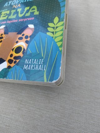 Atópame na selva libro con lapelas en galego