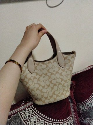 Bolso  Beige y Dorado