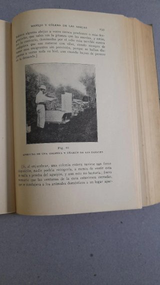 Libro Antiguo (1935): La Abeja y la Colmena