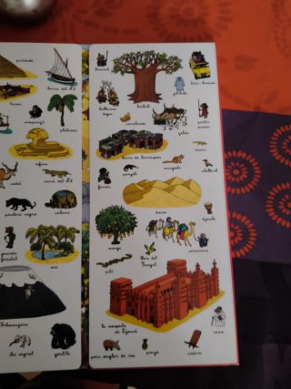 Digues on és. Els cinc continents