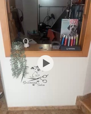 Traspaso Peluquería Canina y Tienda de Mascotas