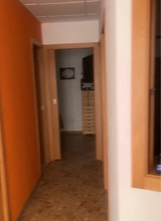 Traspaso Peluquería Canina y Tienda de Mascotas