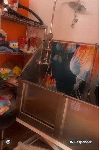 Traspaso Peluquería Canina y Tienda de Mascotas