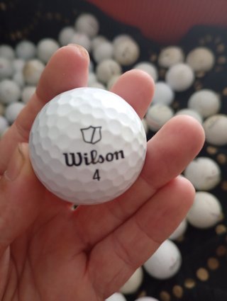 Bolas de golf recuperadas