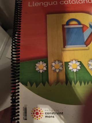 Lote libros 2 primaria