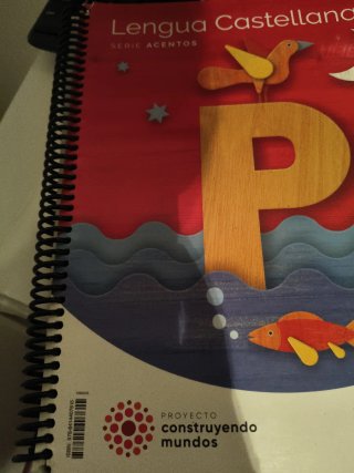 Lote libros 2 primaria