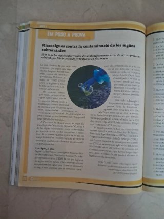 Llengua Catalana, 2 ESO