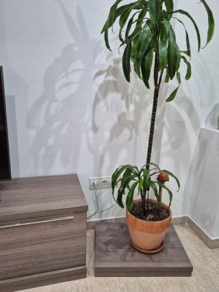 Mueble TV con escritorio y vitrina