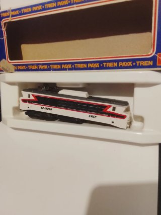 Lote Tren Paya