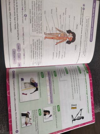 Libro Natural Sciences 3°CLIL World  9780190548100