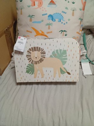 Cojín dinosaurios 40x40 y maletín