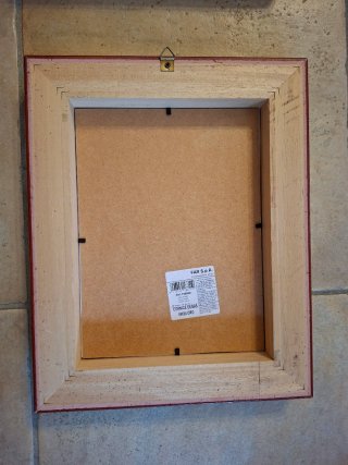 Coppia Stampe Botaniche Cornici Oro