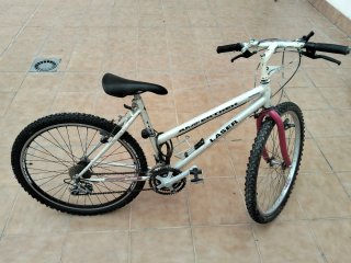 Bicicleta de montaña LASER