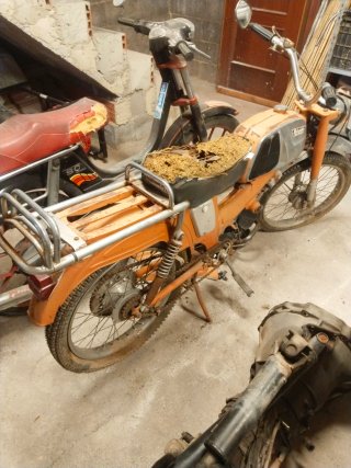 Se vende vespino sc y mobilett