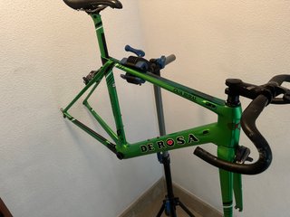 Cuadro De Rosa Protos Caja Rural