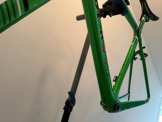 Cuadro De Rosa Protos Caja Rural